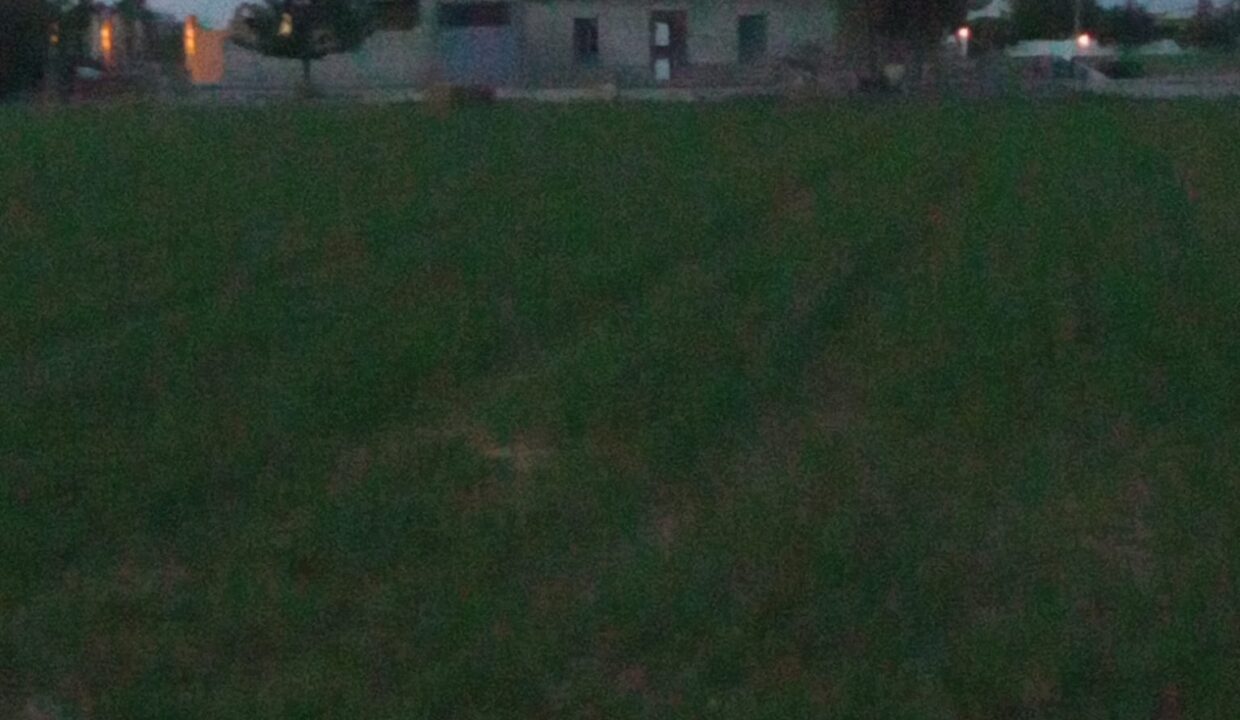 WhatsApp Image 2024-10-17 at 17.40.15 (3)